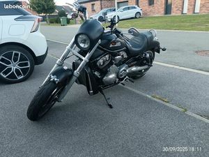 HARLEY NIGHTROD 2006