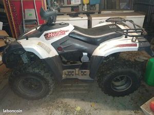 QUAD HYTRACK 310