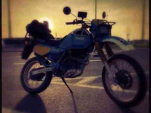YAMAHA XT 600 Z TÉNÉRÉ (34L) – 1985 – BLUE SONAUTO GAULOISES