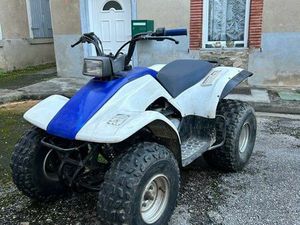 QUAD 125 BREEZE