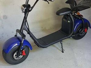 EL TROTI CITY COCO CANTON ARGOVIE -