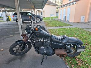 HARLEY-DAVIDSON SPORTSTER XL 883 N IRON