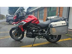 VENDO TRIUMPH TIGER 1200 XRT (2018 - 20) USATA A PAVIA (CODICE 9871499) - MOTO.IT