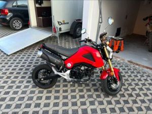 HONDA MSX GROM