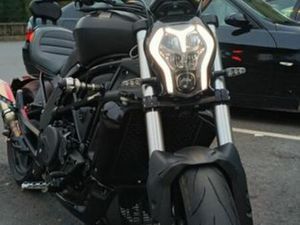 BENELLI 502 C DE 2021 CARREIRA E REFOJOS DE RIBA DE AVE