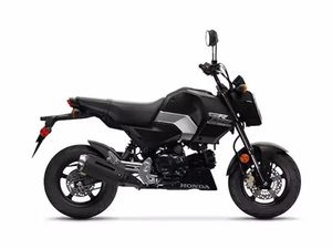 2025 HONDA GROM