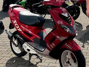 PEUGEOUT SPEEDFIGHT 2 WRC 307 70 CC