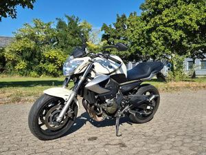 YAMAHA XJ6
