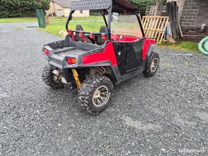 BUGGY POLARIS RZR