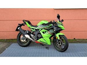 VENDO KAWASAKI NINJA 125 (2021 - 24) USATA A BOLOGNA (CODICE 9872041) - MOTO.IT