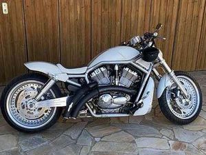 HARLEY-DAVIDSON V-ROD VRSCA WEIß