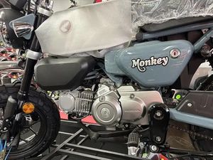 2025 HONDA Z 125 MAS MONKEY ABS GREY