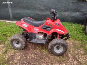 QUAD 50 CC BIG FOOT