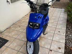 BOOSTER NAKED 12 POUCES