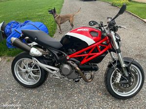 DUCATI MONSTER
