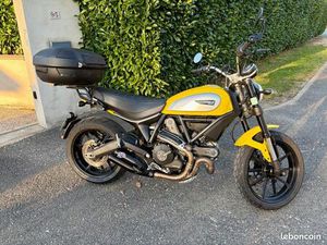 DUCATI SCRAMBLER 800 ICON JAUNE 2015