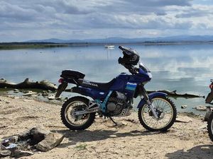 HONDA NX 650 DOMINATOR A2 NYSA