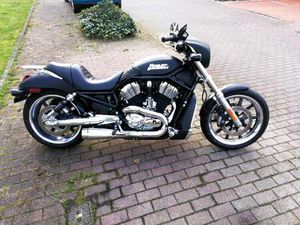 HARLEY DAVIDSON NIGHT ROD VRSCD BAUJAHR 2006