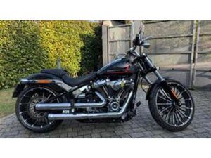 BREAKOUT 117 (2023 - 24)