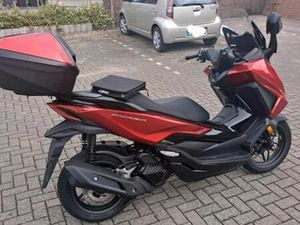 WINTER PREIS =UPGRADE =HONDA FORZA 125 / 7 , 2024