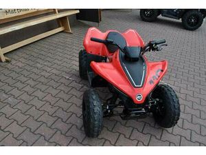 UTV QUAD ATV KINDERQUAD CFORCE 110 CF MOTO