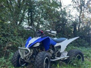 250 RAPTOR HOMOLOGUÉ