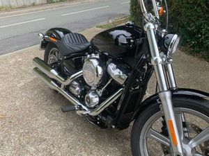 HARLEY DAVIDSON SOFTAIL STANDARD 1745 ANNÉE 2024