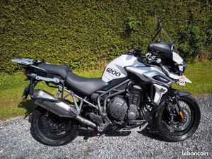 TRIUMPH TIGER