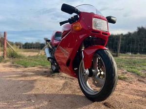 DUCATI - 600 SS SUPERSPORT