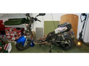 ROLLER DER MARKE PEGASUS R50X TGB