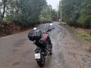 BENELLI LEONCINO 250