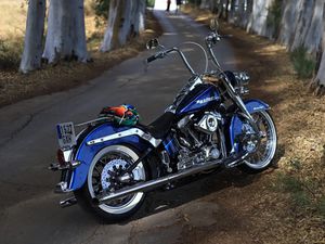 HARLEY-DAVIDSON HERITAGE SOFTAIL