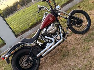 HARLEY DAVIDSON SOFTAIL STANDARD