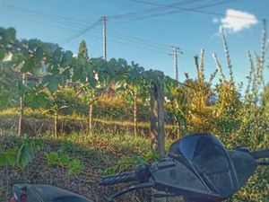 SCOOTER KEEWAY FACT 50 PINHEIRO DA BEMPOSTA, TRAVANCA E PALMAZ