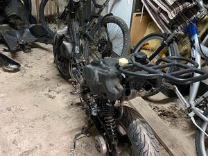 PEUGEOT VIVA CITY (SCHLACHTER BASTLER) 100€ FÜR ALLES