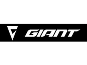 2021 KAWASAKI Z400 ABS