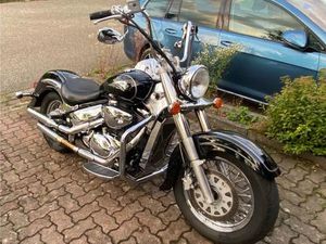 SUZUKI VL 800 VOLUSIA INTRUDER