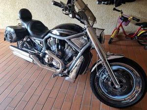 HARLEY DAVIDSON V-ROD