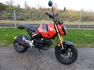 HONDA MSX125 GROM, NUR 614 KM, TOP!