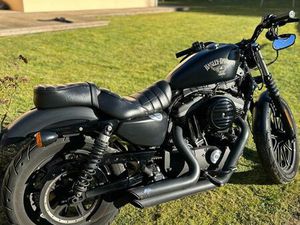 HARLEY DAVIDSON SPORTSTER 883 IRON +POT D ORIGINE NEUF