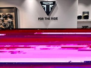 TRIUMPH BONNEVILLE T120 BLACK GOLD LINE