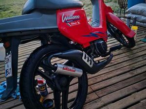 ② HONDA WALLAROO 65 CC CLASSE B
