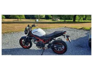 ② SUZUKI SV 650 - 2022