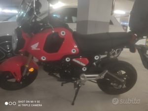 HONDA GROM