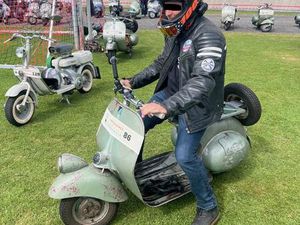 VESPA FARO BASSO V31 1951