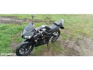 HONDA CBR