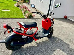 ZOOMER NPS50 TOP ZUSTAND, RARITÃ¤T