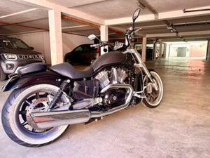 HARLEY VROD 1200