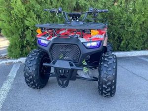 БЕНЗИНОВО ATV DEMON HUNTER 150 CC →