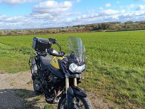 TRIUMPH TIGER 800